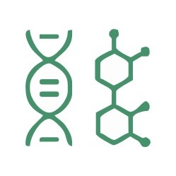 Genetics DNA sequencing process