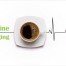 Caffeine and genetic anti aging