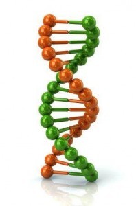 DNA, Nutrigenetics and nutrigenomics