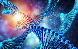 What do gene mutations to our body